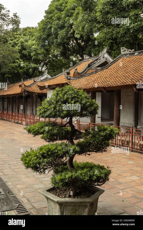 Vietnam 的图像结果