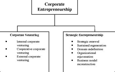 Corporate Entrepreneurship 的图像结果