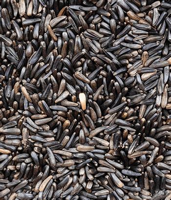 Golden Crop - Exporting Agricultural products