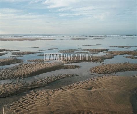 Alien Beach Drawing 的图像结果