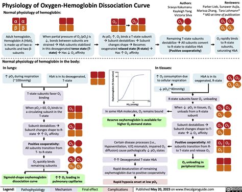 Oxygenhaemoglobin Dissociation Curve Oxygen Haemoglobin Dissociation