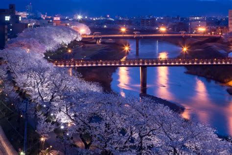 Japan Cherry Blossom 2026: When and Where to See Sakura | Trip.com