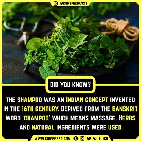 SHAMPOO IS AN INDIAN CONCEPT | RANDOM FACTS | India facts, Amazing ...