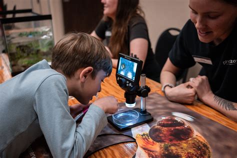 Kids and Family Activities | Phoenix Zoo