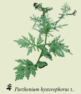 MIAP: Explore Invasive Species