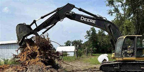 Image result for What Causes Tree Rot