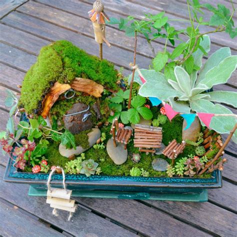 Fairy Garden Plants