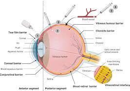 Initiation of IOP reduction therapy fails to improve Visual field ...
