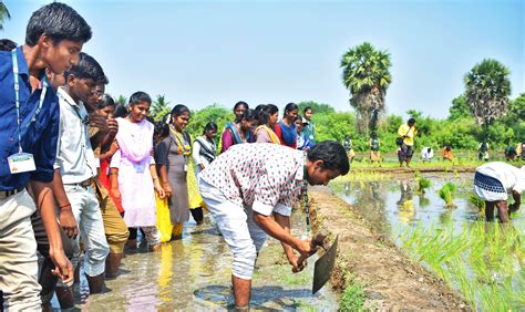 Adhiparasakthi Agricultural College