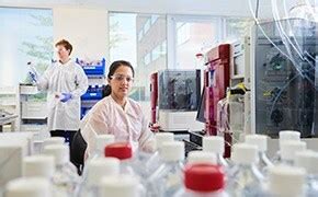 Safety Inside Lab Safety