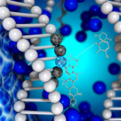 NADH vs NAD+: What’s the Difference & Which One Should You Take? – omre US