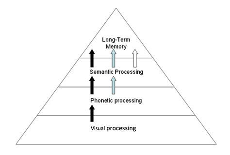 Image result for Level of Processing Memory