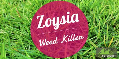 What Kills Zoysia Grass