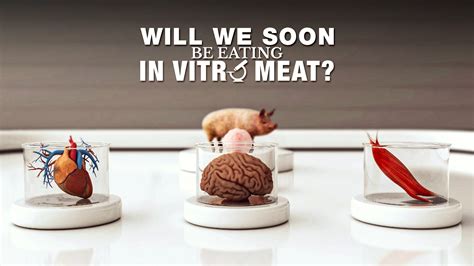 WILL WE SOON BE EATING IN VITRO MEAT? 2025 - Watch WILL WE SOON BE ...