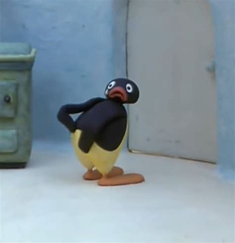 noot noot in 2025 | Funny cute memes, Pingu pingu, Penguins funny