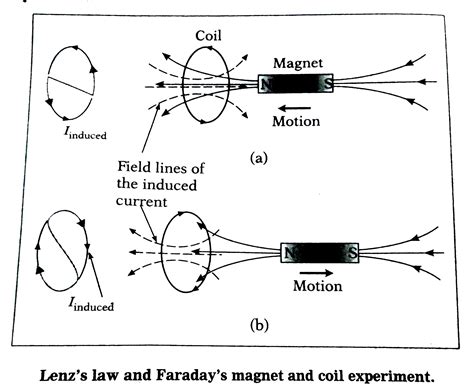 Lenz Law 的图像结果