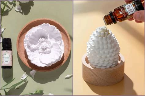 Image result for How Do Essential Oils Diffusers Work