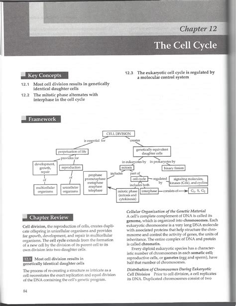 Class 12 Bio Ch1 的图像结果