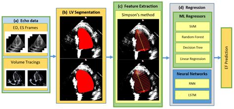 Ejection Fraction Estimation from Echocardiograms Using Optimal Left Ventricle Feature ...