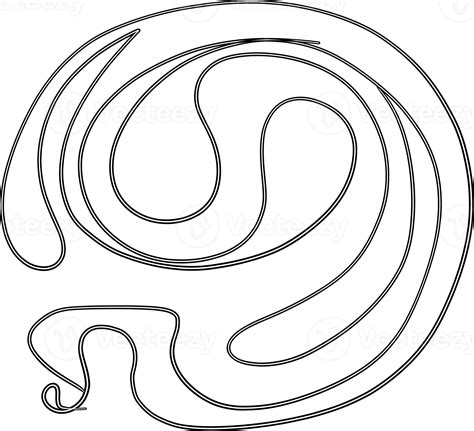 Image result for Make a Abstract Line Image in Python