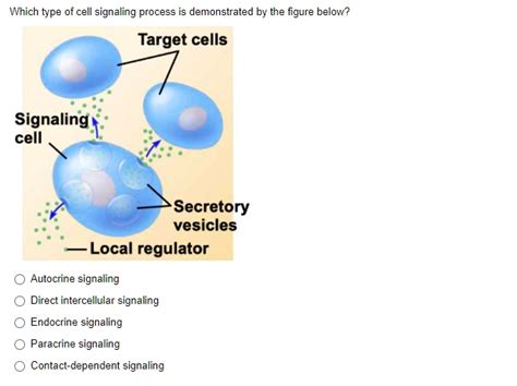 Image result for Cell Signaling Process