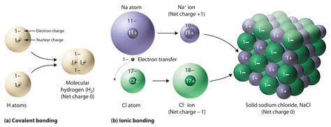 Image result for Chemistry Lab Notebook UTSC Examples