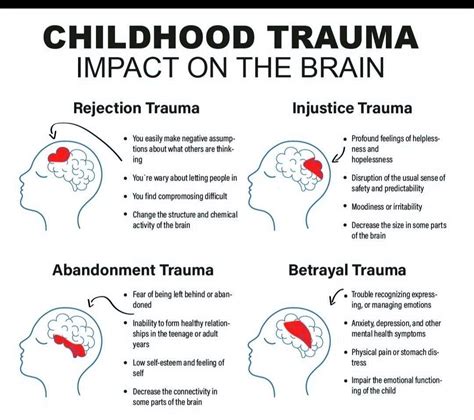 Image result for Trauma Brain Development