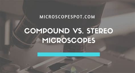 Image result for Compound vs Stereo Microscope