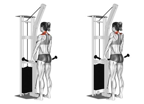 6 Best Cable Back Exercises (with Pictures!) - Inspire US
