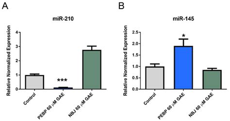Polyphenol-Enriched Blueberry Preparation Controls Breast Cancer Stem ...
