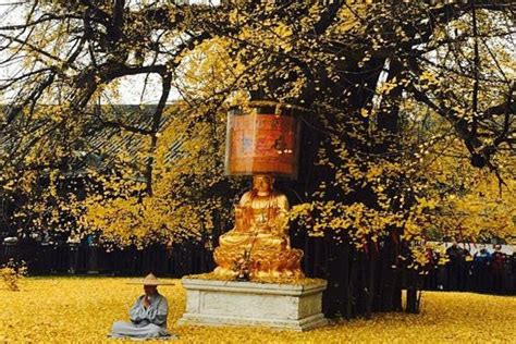 【携程攻略】西安古观音禅寺景点,不要门票 但是需要提前预约。不提前预约基本是没有当天票的。一定要…