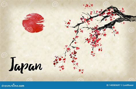 Japan Traditional Sumi-e Painting. Sakura, Cherry Blossom. Indian Ink ...