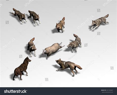 Pack of Wolves Hunting 的图像结果