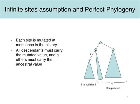 Image result for Population Genetics Basics