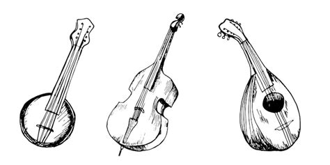 Iranian instrument Vectors - Download Free High-Quality Vectors from ...