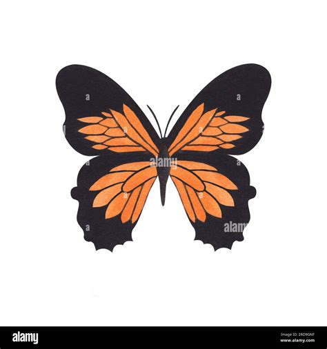 Clipart Monarch Butterfly