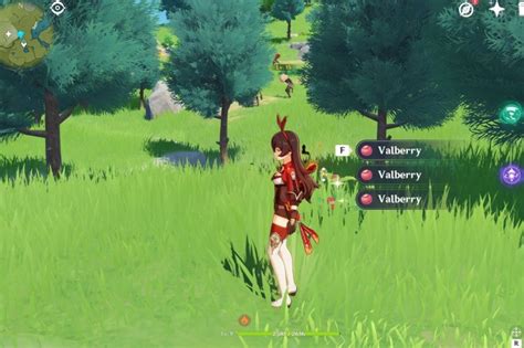 Genshin Impact Valberry Locations, Farm Routes & How To Use