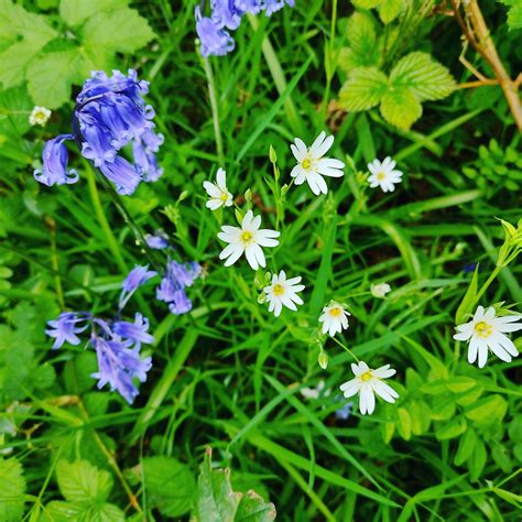 Colyer Funeral Home | Torrington WY