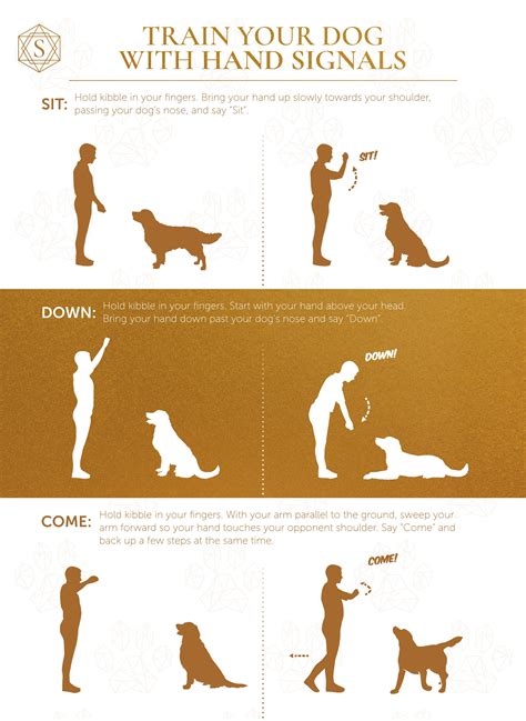 Dog Training Hand Signals 21 Days To Train Your Dog – BookXcess