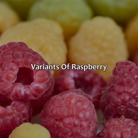 Raspberry Color 的图像结果