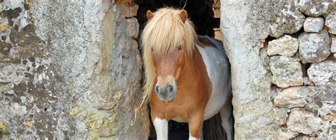 Preise - Finca Sa Cova