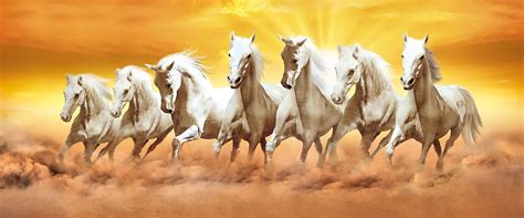 Walls and Murals Large, Tearable, Washable 7 Running Horses Vinyl ...
