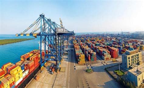 Adani Group’s Plan to Expand Kattupalli Port Faces Opposition | NewsClick