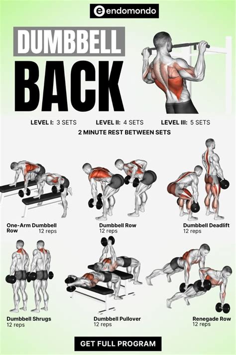 Image result for Different Back Workouts