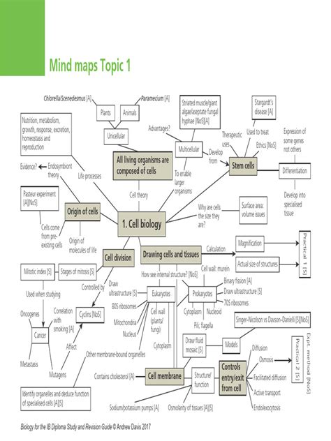 Biology Mind Map 的图像结果
