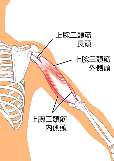 Image result for OS Sim Java