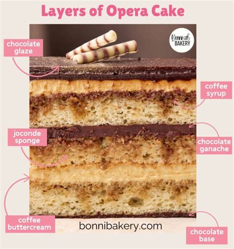 Image result for Opera Sponge Cake