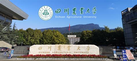 中国农业大学证书样本