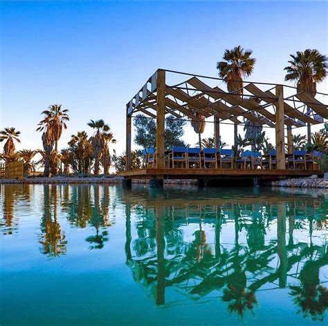 XOLO VINO (2026) All You Need to Know BEFORE You Go (with Photos ...