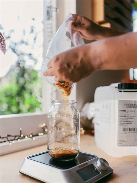 Image result for Making Shellac